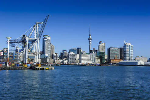 Skyline von Auckland, Neuseeland - RUNF02557