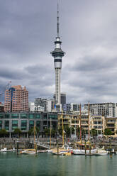 Downtown Auckland with the Sky Tower, New Zealand - RUNF02567