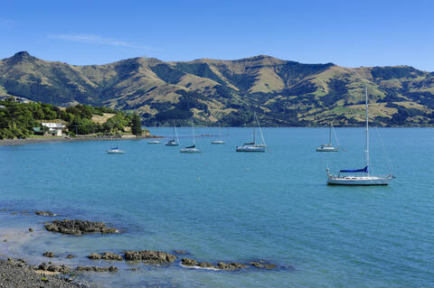 Segelboote im Hafen von Akaroa, Banks Peninsula, Südinsel, Neuseeland, lizenzfreies Stockfoto