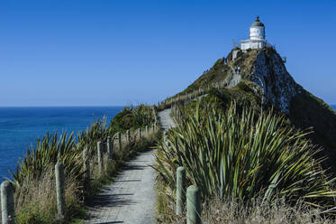 Nugget Point Lighthouse, the Catlins, South Island, New Zealand - RUNF02578