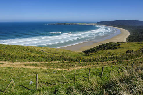 Blick über die wunderschöne Tautuku-Bucht, The Catlins, Südinsel, Neuseeland - RUNF02580