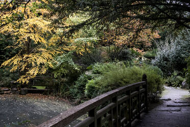 A footbridge and shrubs in a Japanese style garden - MINF11382