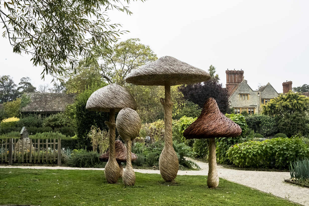Tall Wooden Carved Toadstools Garden
