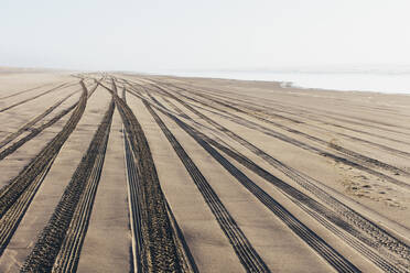 Tire tracks on the soft surface of sand on a beach. - MINF11411