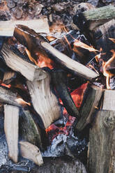 High angle close up of burning wooden logs of a campfire in a forest. - MINF11435