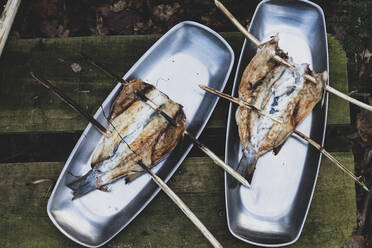 Nahaufnahme von gegrilltem Fisch auf Holzspießen auf Metallplatten, Kochen im Freien - MINF11438