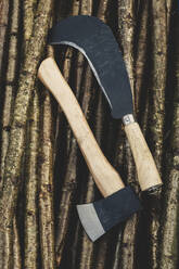 Nahaufnahme einer Axt und eines Schnabelhakens, die auf einem Bündel von Holzpfählen liegen, die beim traditionellen Heckenbau verwendet werden. - MINF11441