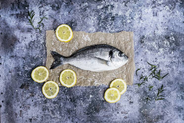 High angle close up of a fresh sea bream, slices of lemon and fresh rosemary. - MINF11446