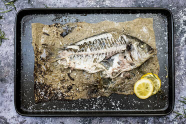 High angle close up of skeleton of grilled sea bream on baking tray. - MINF11451