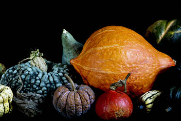 Close up of a variety of freshly harvested pumpkins on black background. - MINF11501
