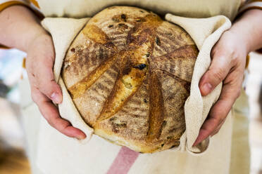 Nahaufnahme einer Person, die einen frisch gebackenen runden Laib Brot hält. - MINF11542