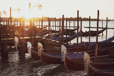 Im Canale Grande in Venedig, Venetien, Italien, vertäute Gondeln bei Sonnenaufgang. - MINF11555