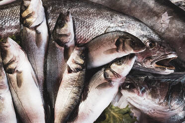 High angle close up of fresh fish at a market stall. - MINF11558