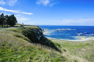 Blick von den Klippen über die Kaikoura-Halbinsel, Südinsel, Neuseeland - RUNF02589