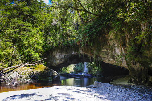 Moria Gate Arch im Oparara-Becken, Karamea, Südinsel, Neuseeland - RUNF02597