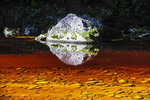 Fluss mit braunem Wasser aus Baumblättern, der durch das Oparara-Becken fließt, Karamea, Südinsel, Neuseeland - RUNF02602