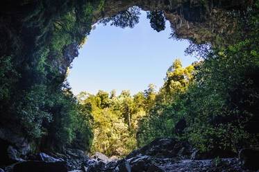 Oparara-Bogen im Oparara-Becken, Karamea, Südinsel, Neuseeland - RUNF02603