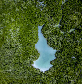 Aerial view of a turquoise lake and rain forest, Holbox, Yucatan, Mexico - MMAF00963