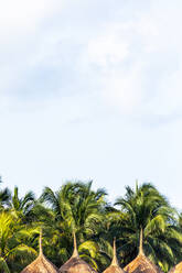 Palmen, Sonnenschirme und Himmel mit Wolken am Strand, Holbox, Yucatan, Mexiko - MMAF00968
