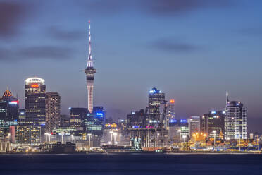 Auckland skyline lit up at night, New Zealand - MINF11595