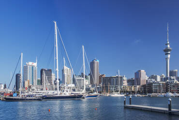 Auckland skyline and harbor, Auckland, New Zealand - MINF11597