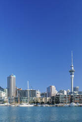 Auckland skyline on waterfront, Auckland, New Zealand - MINF11598