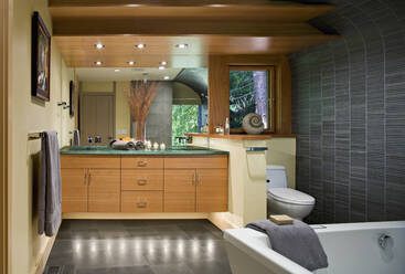 Bathtub, toilet and sink in modern bathroom - MINF11610