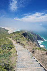 Steps on coastal hillside, Te Werahi, Cape Reinga, New Zealand - MINF11612