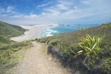 Schotterweg an einem Küstenhang, Te Werahi, Cape Reinga, Neuseeland - MINF11613