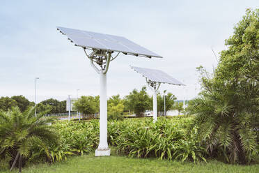 Sonnenkollektoren im Stadtpark - MINF11621