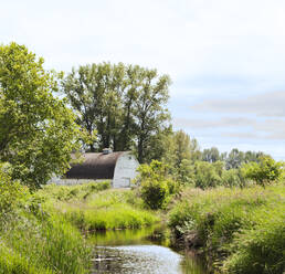 Irrigation ditch and old barn, Olympia, Washington, United States - MINF11623