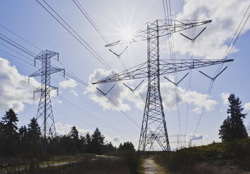 Power lines against blue sky - MINF11805