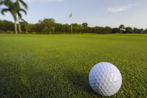 Golfball rollt auf dem Putting Green - MINF11810