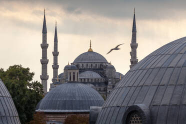 Kuppeln und Türme der Blauen Moschee, Istanbul, Türkei - MINF11886