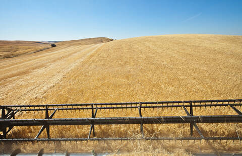 Mähdrescher bei der Arbeit auf dem Feld, lizenzfreies Stockfoto