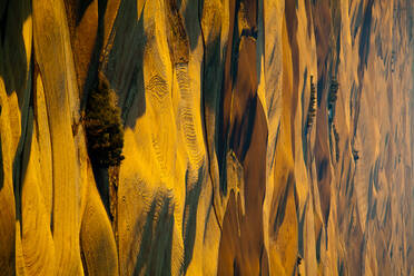 Luftaufnahme einer hügeligen ländlichen Landschaft, Oakesdale, Steptoe Butte, Washington, Vereinigte Staaten - MINF11893