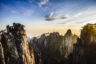 Bäume, die auf felsigen Bergen wachsen, Huangshan, Anhui, China - MINF12039