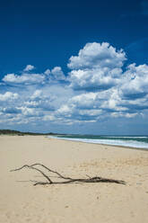 Strand von Cape Conran, Victoria, Australien - RUNF02613