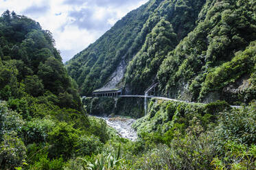 Straße zur Otira-Schlucht, Arthur's Pass, Südinsel, Neuseeland - RUNF02614