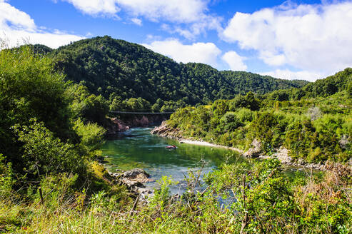 Hängebrücke über die Buller-Schlucht, Südinsel, Neuseeland - RUNF02623