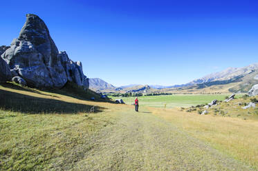 Limestone outcrops on Castle Hill, South Island, New Zealand - RUNF02629