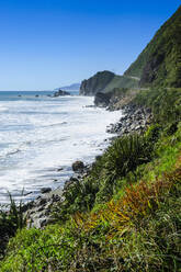 Die Westküste der Südinsel zwischen Greymouth und Westport, Neuseeland - RUNF02638