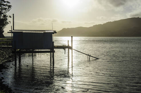 Gegenlicht einer Fischerhütte auf der Halbinsel Otago, Südinsel, Neuseeland - RUNF02665