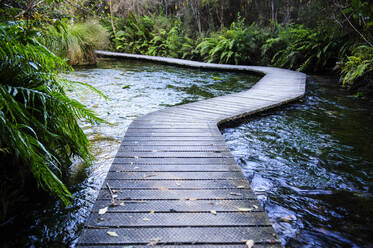 Uferpromenade an den Te Waikoropupu-Quellen, Takaka, Golden Bay, Südinsel, Neuseeland - RUNF02677