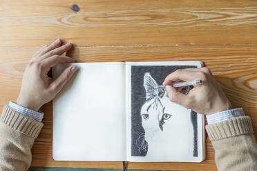 Man drawing a cat - JPTF00152