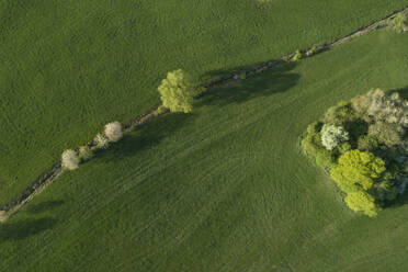 Abstrakte Luftaufnahme von Bäumen auf einer Wiese, Frühling, Franken, Bayern, Deutschland - RUEF02230