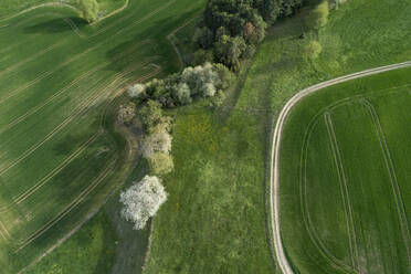 Luftaufnahme eines Feldwegs durch eine Landschaft mit Wiesen, Bäumen, landwirtschaftlichen Feldern und Wald, Frühling, Franken, Bayern, Deutschland - RUEF02234