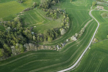 Aerial view of rural road through landscape with meadow, trees, and agricultural fields, springtime, Franconia, Bavaria, Germany - RUEF02235