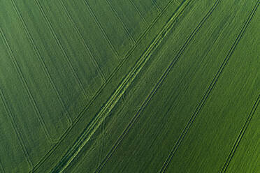 Aerial View of abstract landscape with agricultural fields with tire tracks, springtime, Franconia, Bavaria, Germany - RUEF02237