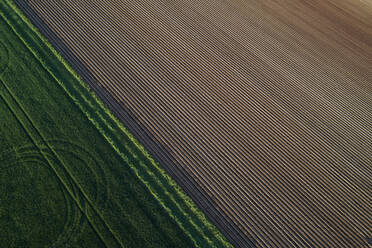 Aerial View of abstract landscape with agricultural fields, springtime, Franconia, Bavaria, Germany - RUEF02238